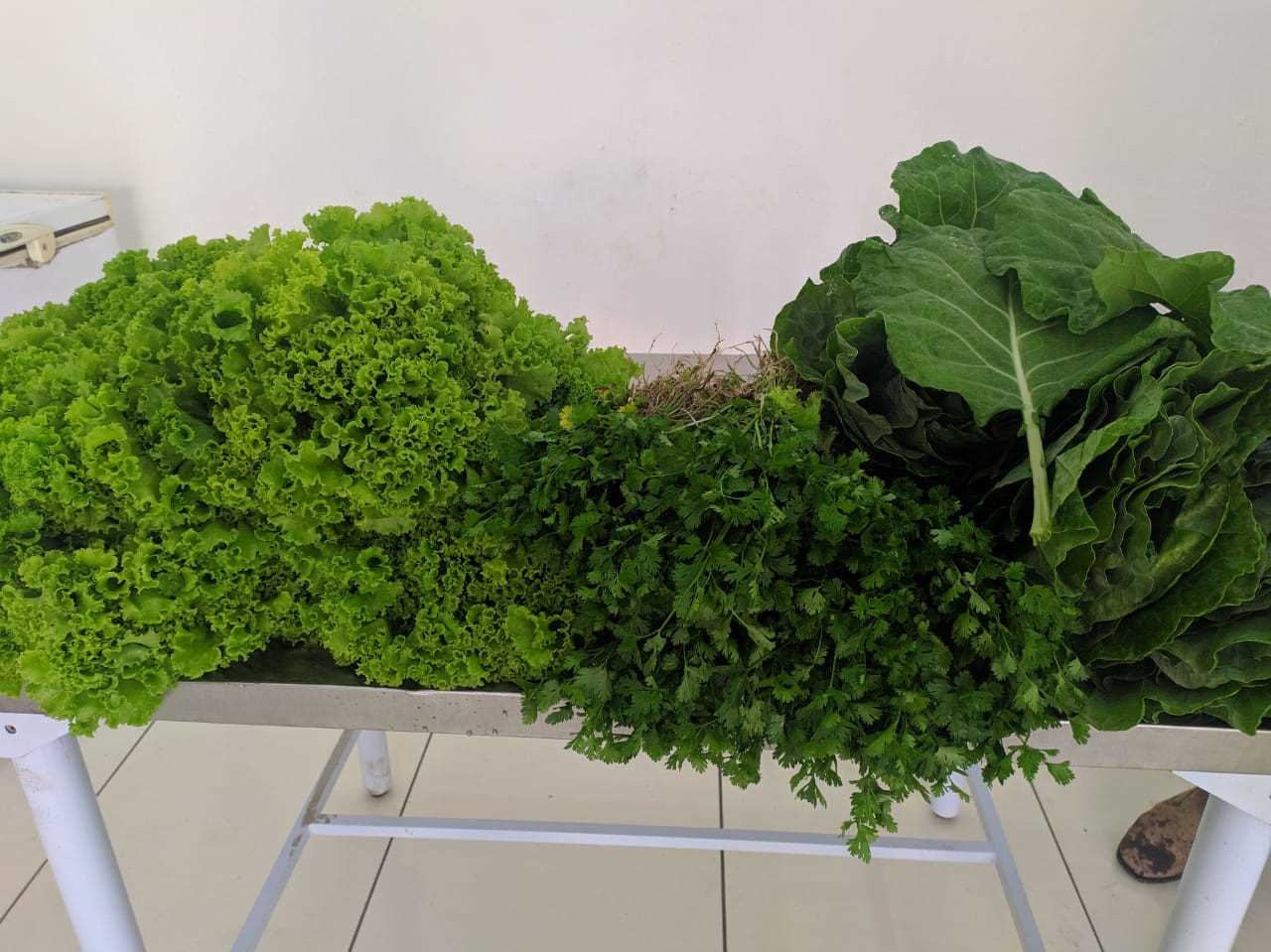 Camacã: Ponto do PAA é inaugurado pela Secretaria de Agricultura